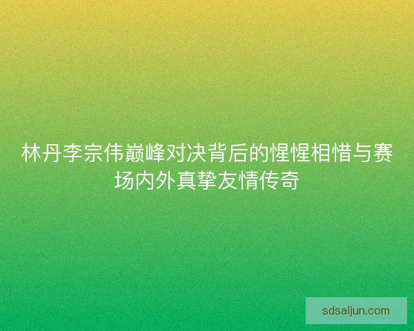 林丹李宗伟巅峰对决背后的惺惺相惜与赛场内外真挚友情传奇