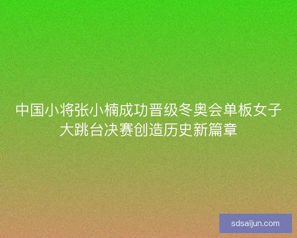 中国小将张小楠成功晋级冬奥会单板女子大跳台决赛创造历史新篇章