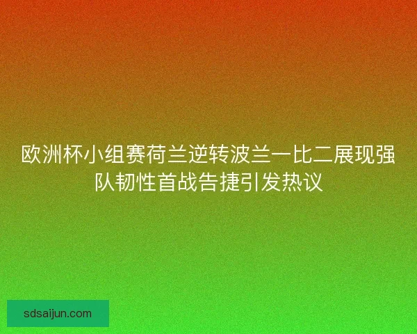 欧洲杯小组赛荷兰逆转波兰一比二展现强队韧性首战告捷引发热议 欧洲杯小组赛荷兰逆转波兰一比二展现强队韧性首战告捷引发热议